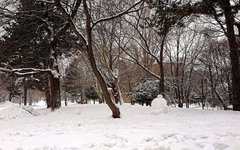 ベイマックス風の雪だるま いいね Hokudai