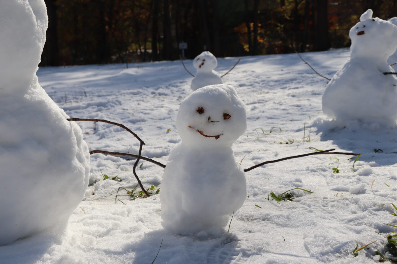 雪だるま 数えてみた いいね Hokudai