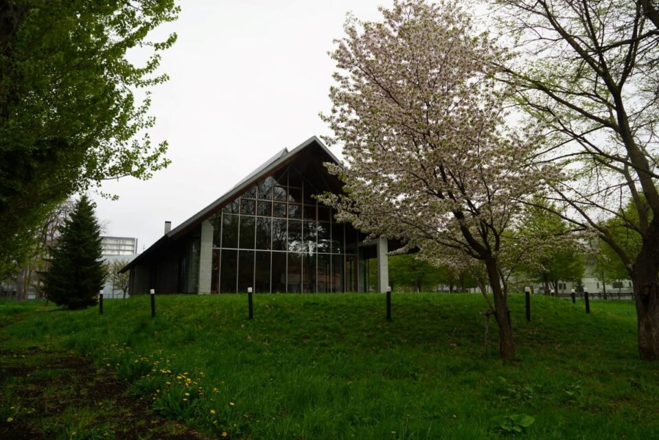 遠友学舎前の桜 いいね!Hokudai
