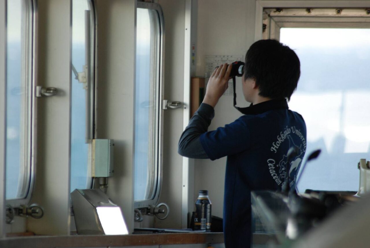 30 海に戻った哺乳類の魅力を考察する 北海道大学鯨類研究会 – いいね