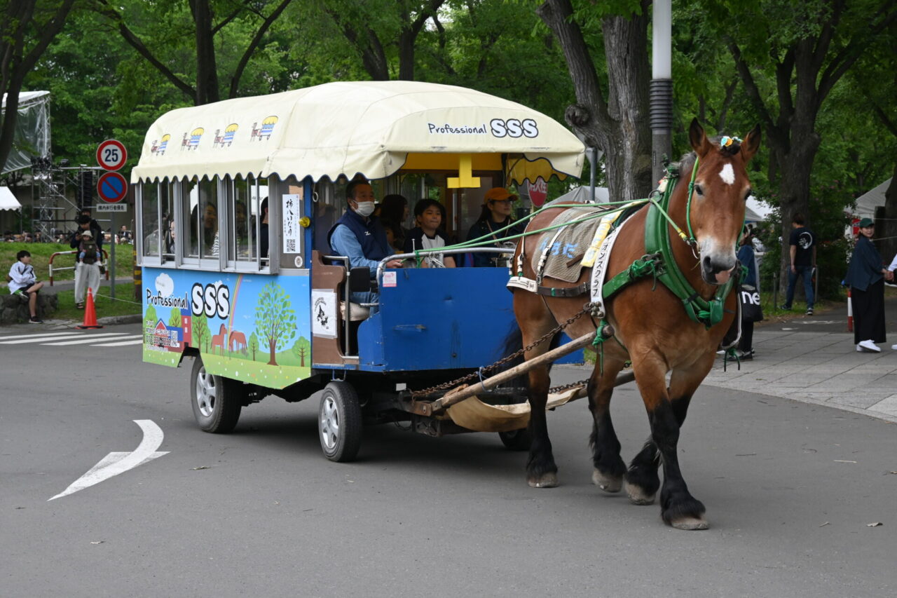 北大祭2024 獣医学祭 「動物のお医者さん」の世界に触れる – いいね