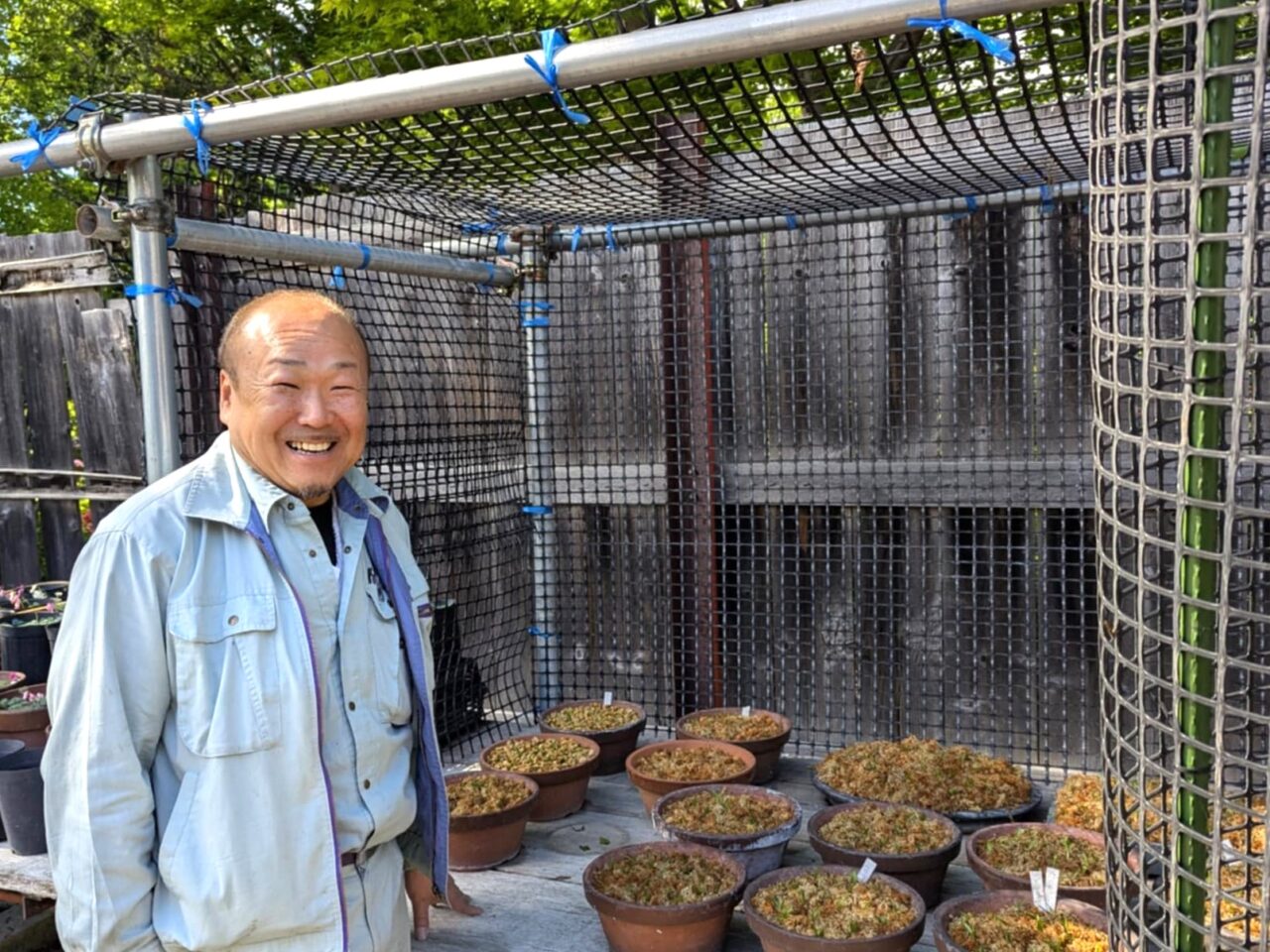 高山植物の保全に向けた北大植物園の取り組み – いいね！Hokudai