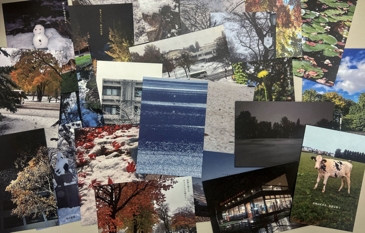 2024年度 多文化交流科目「北海道大学を発見しよう」を開講しました